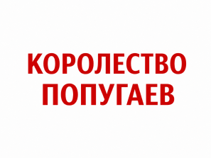 !Мы открылись! Королевство попугаев